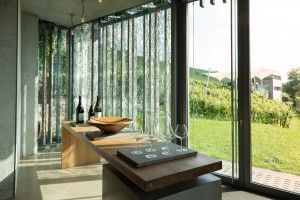 Architekturaufnahme der Vinothek von innen mit Fensterfront und Blick auf Weinberg