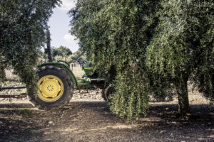 Traktor
