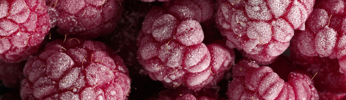 Foodfotografie Werbefotografie Studio Oberfranken Himbeeren