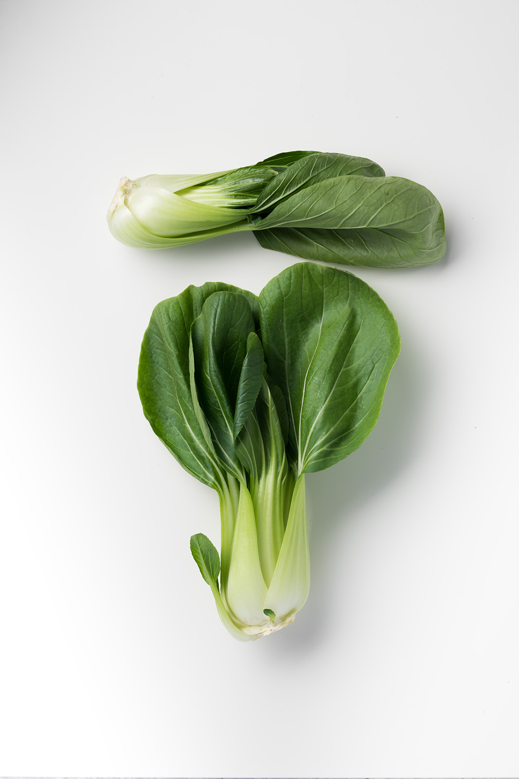 Werbefotografie Pak Chor